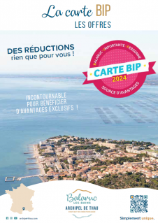 Carte BIP | Catalogue des Offres 2024