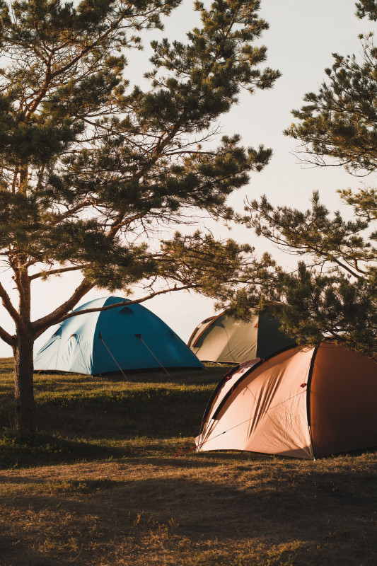 Campsites / Camping cars area