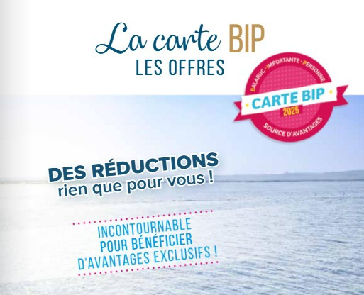Les avantages avec la carte BIP ↗
