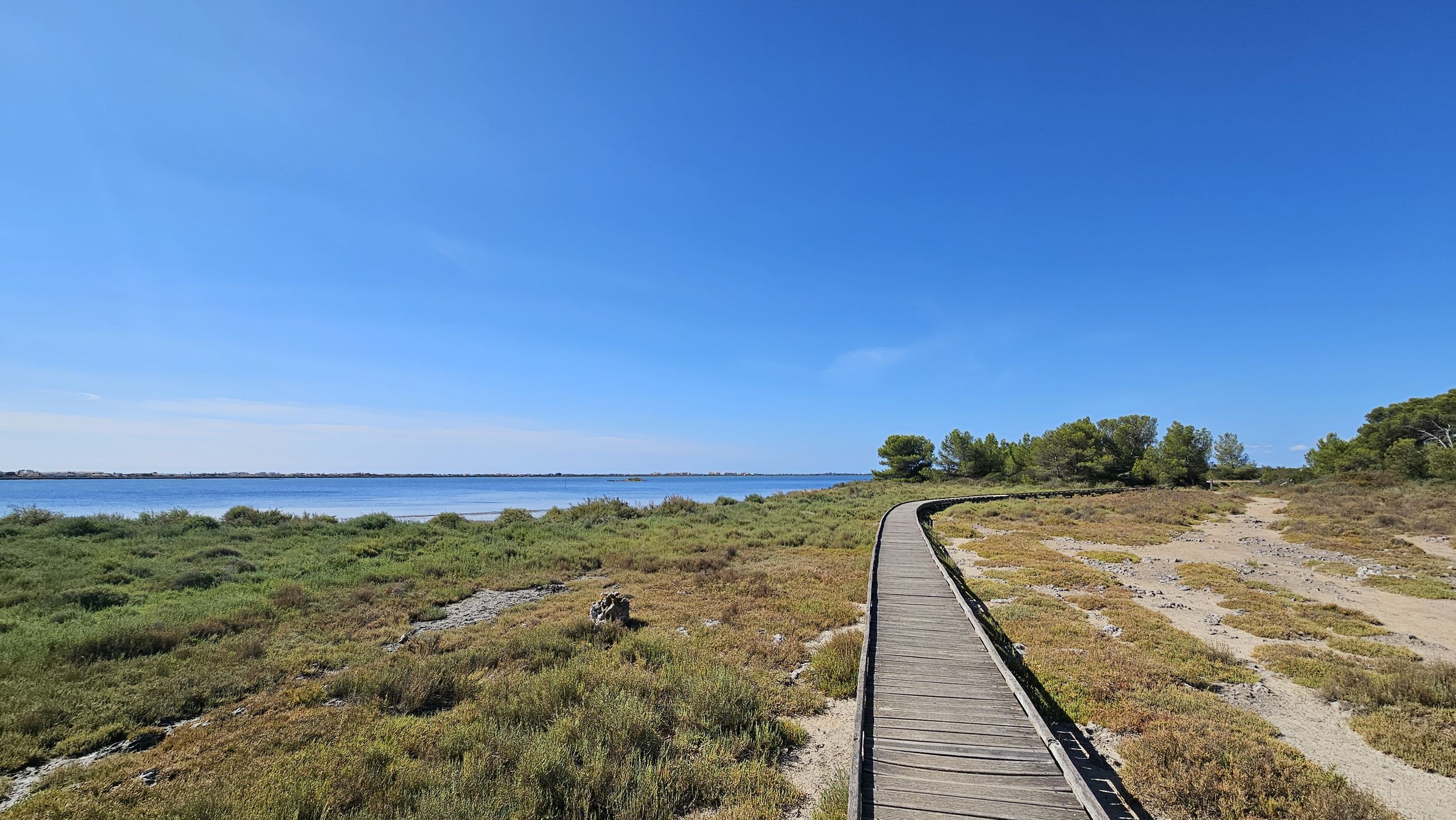 CYCLOFY BALARUC LE VIEUX