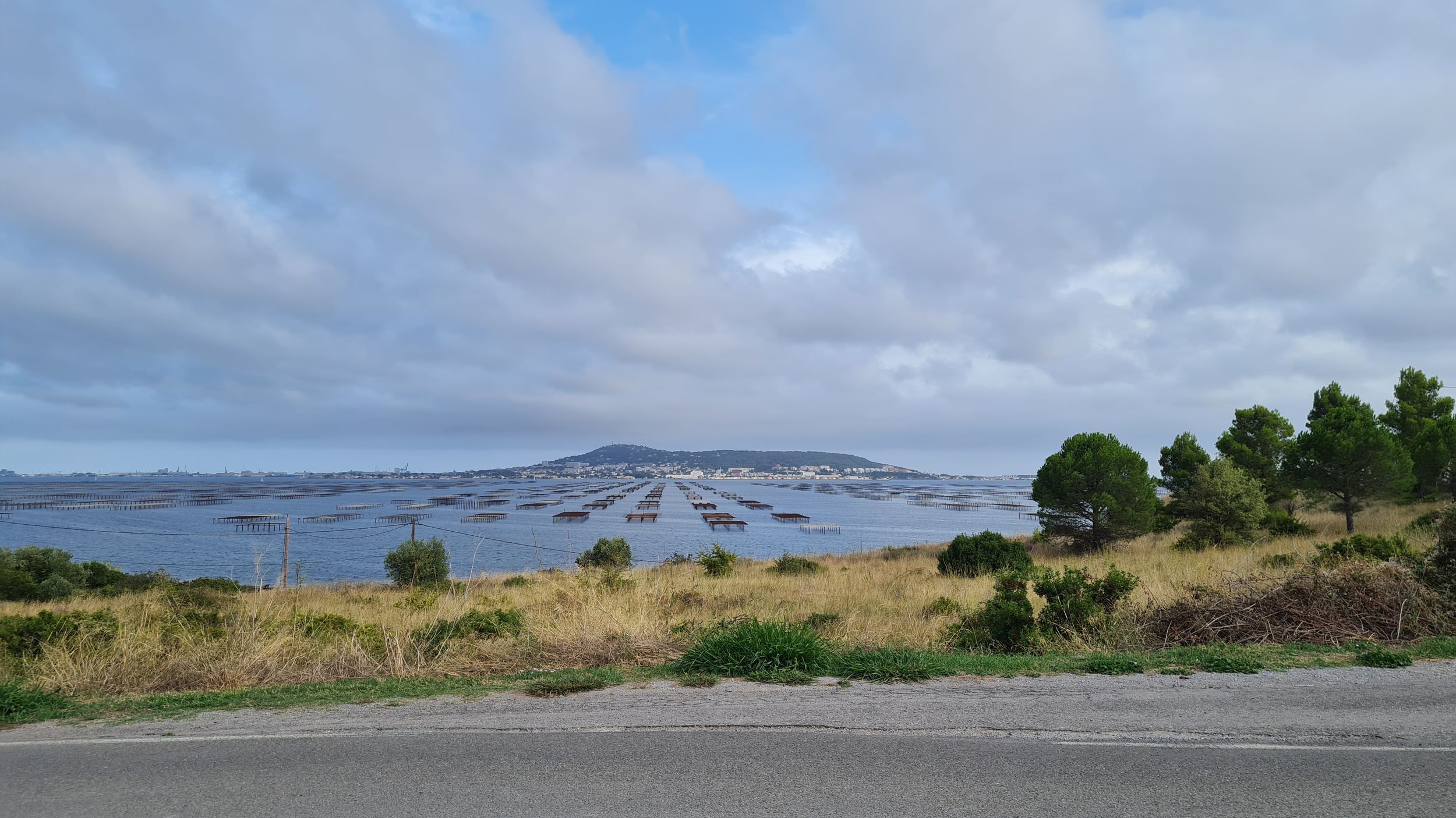 CYCLOFY BALARUC LE VIEUX