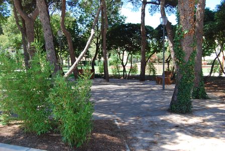 PARC CHARLES DE GAULLE BALARUC LES BAINS