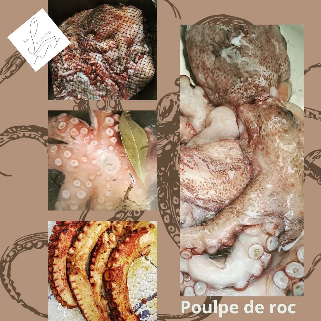POISSONNERIE BALARUC LES BAINS LE PESCADOU (1)