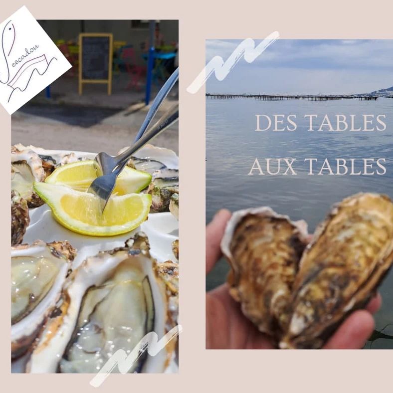POISSONNERIE BALARUC LES BAINS LE PESCADOU (3)