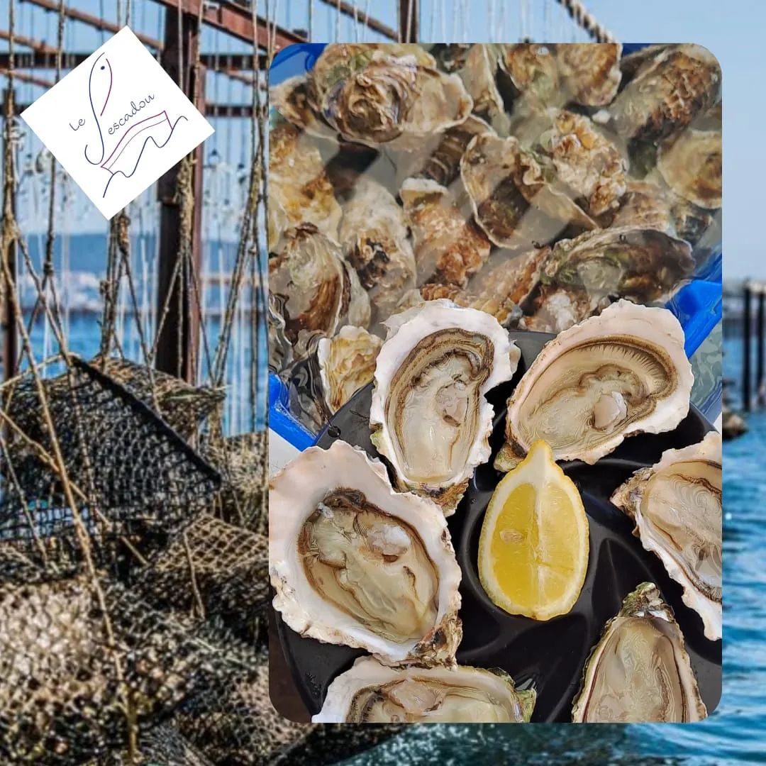 POISSONNERIE BALARUC LES BAINS LE PESCADOU (5)
