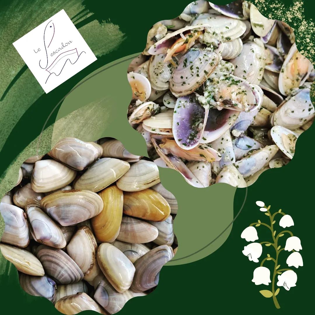 POISSONNERIE BALARUC LES BAINS LE PESCADOU (6)