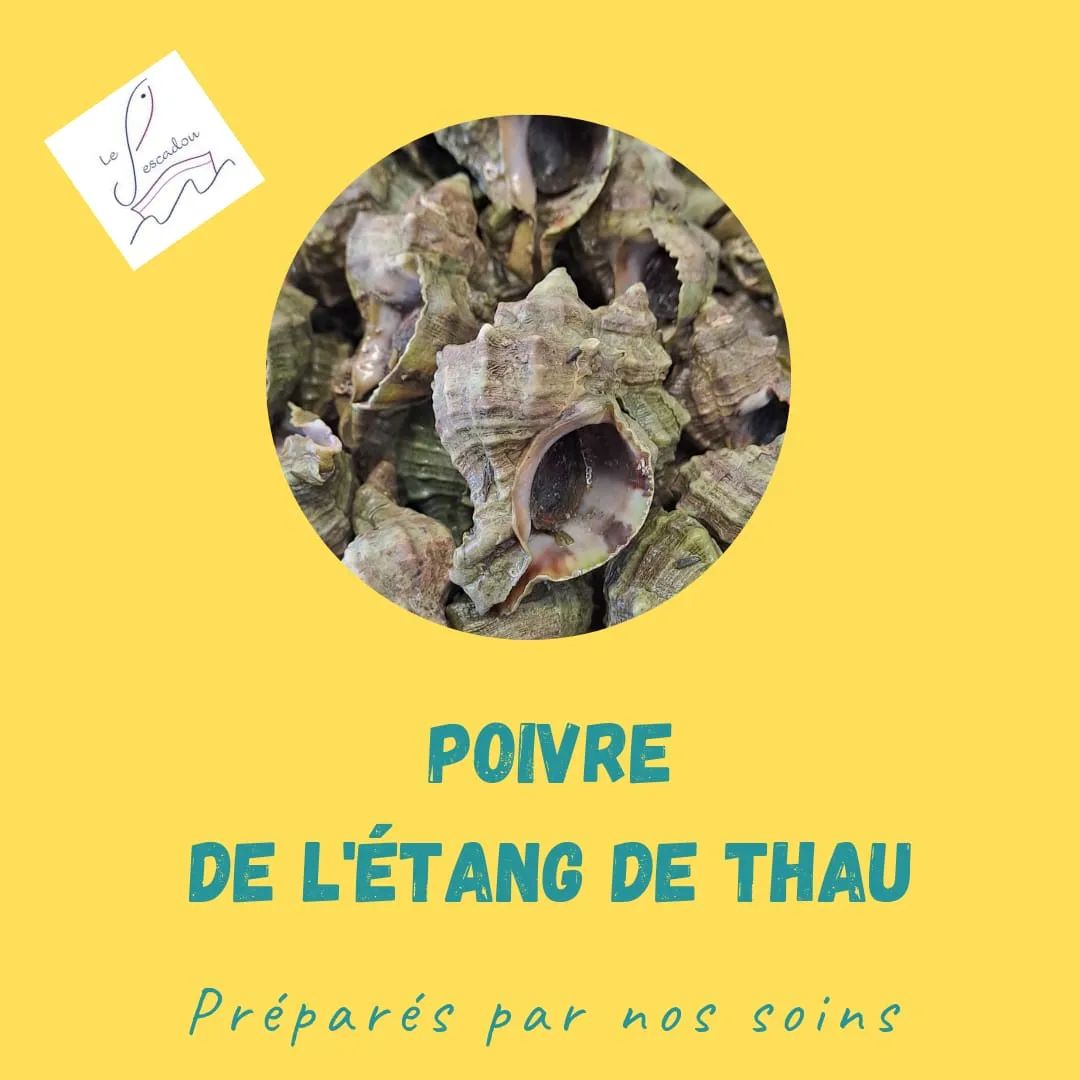 POISSONNERIE BALARUC LES BAINS LE PESCADOU (7)