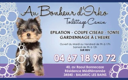 Commerces Toilettage Canin Balaruc Les Bains 