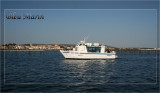 Bleu Marin Promenade bateau Bouzigues (10)
