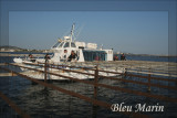 Bleu Marin Promenade bateau Bouzigues (11)