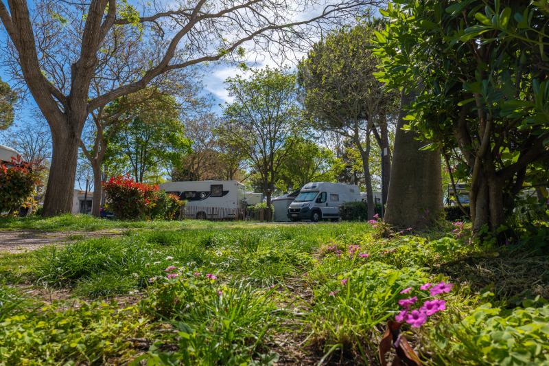 AIRE DES BAINS AIRE DE CAMPING CAR BALARUC LES BAINS (7)