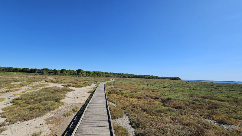 CYCLOFY BALARUC LE VIEUX