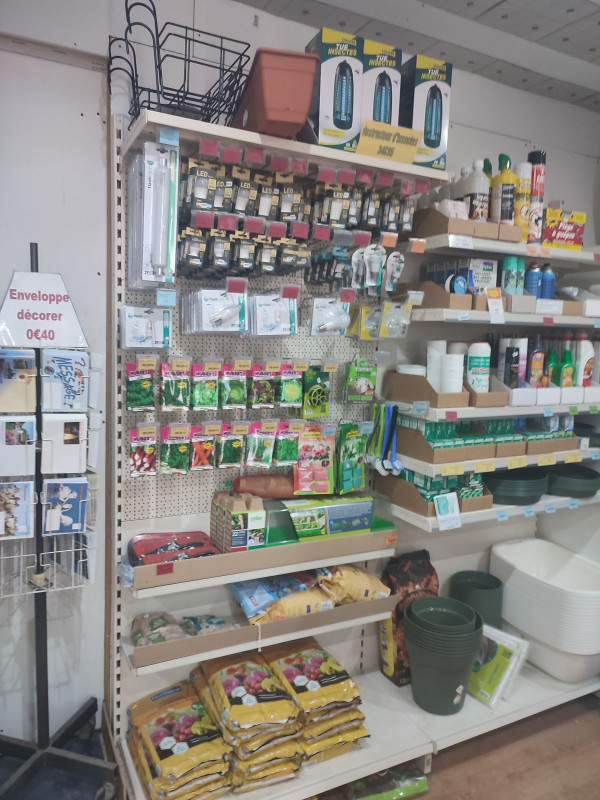 LE-PETIT-BAZAR-BALARUC-LES-BAINS--7