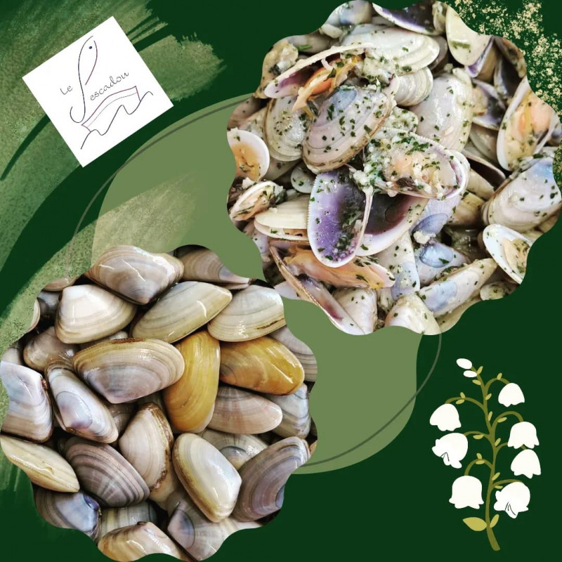 POISSONNERIE BALARUC LES BAINS LE PESCADOU (6)