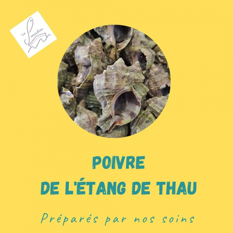 POISSONNERIE BALARUC LES BAINS LE PESCADOU (7)