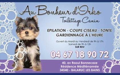 Commerces Toilettage Canin Balaruc Les Bains 