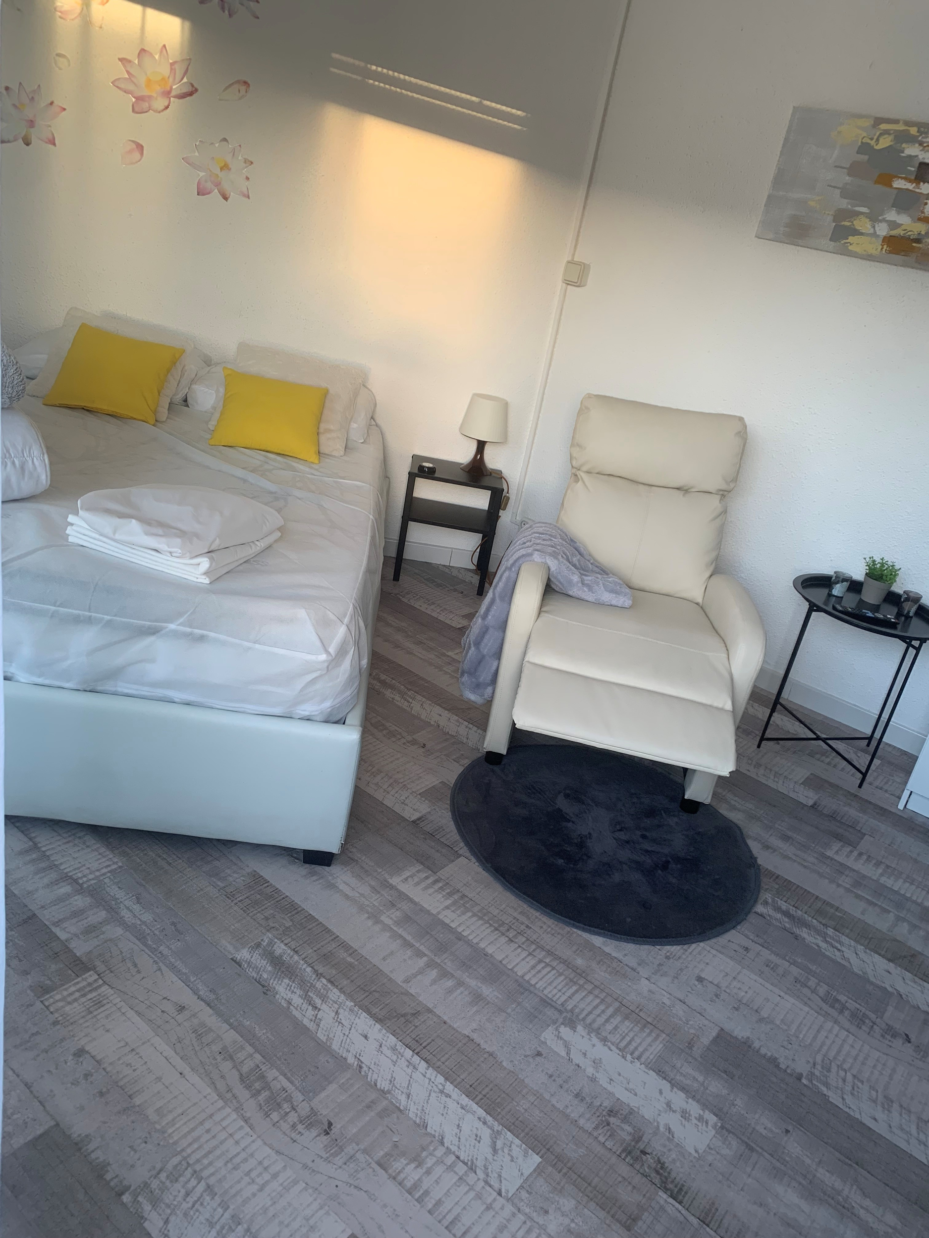 LOCATION BALARUC LES BAINS 11 RUE MONTGOLFIER BAZIZI FATHIA (3)