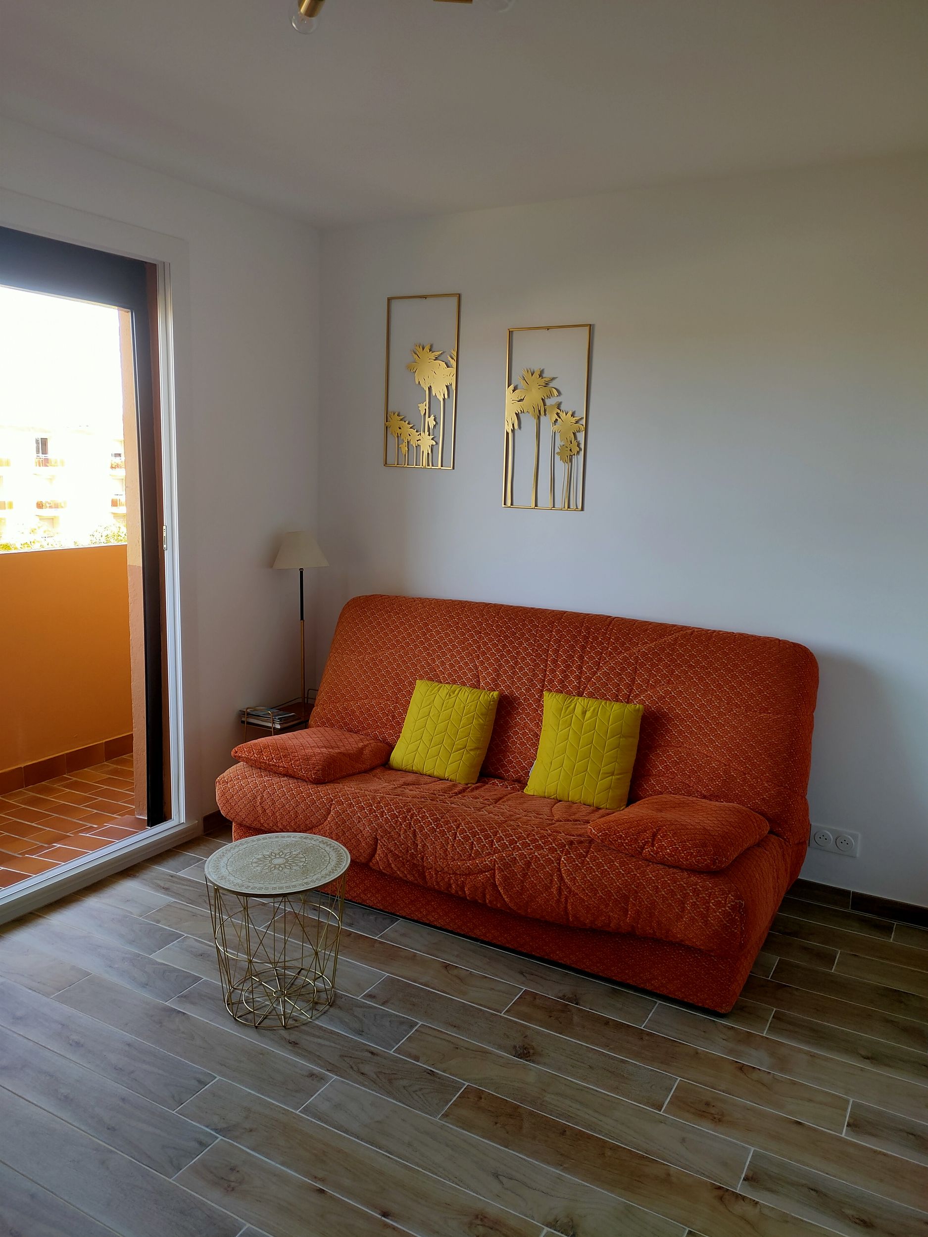 LOCATION BALARUC LES BAINS 15 RESIDENCE ALBATROS MACCAFERRI LAURENT (4)_resultat
