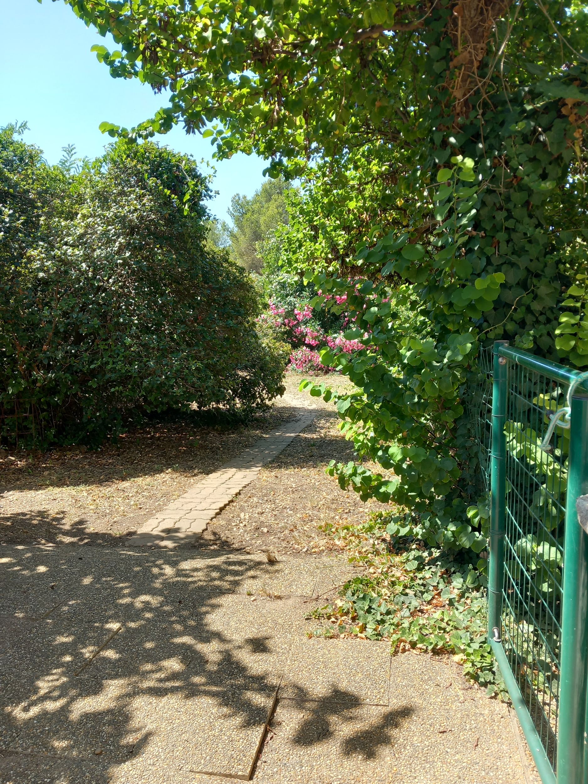 LOCATION BALARUC LES BAINS 4 RUE DES CYSTES BERTRAND DELPHINE (1)