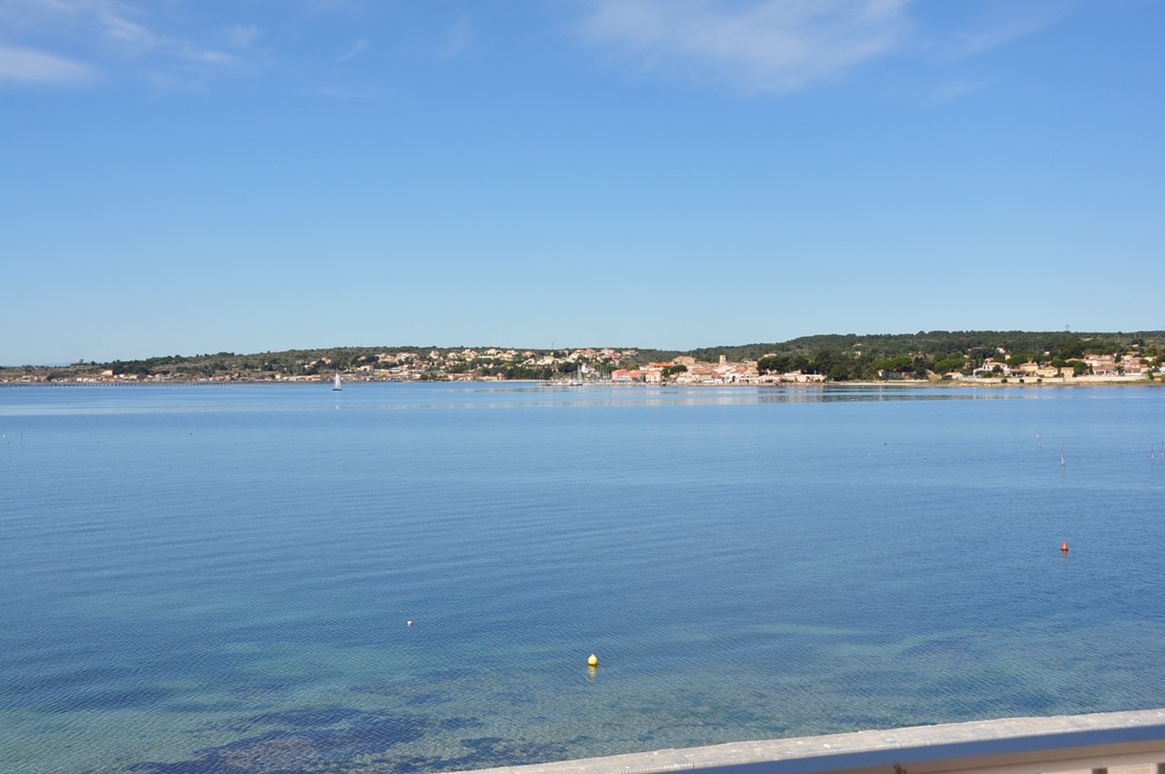 LOCATION BALARUC LES BAINS 44 FLAMANTS ROSES DEDIEU MARIE FRANCE 4