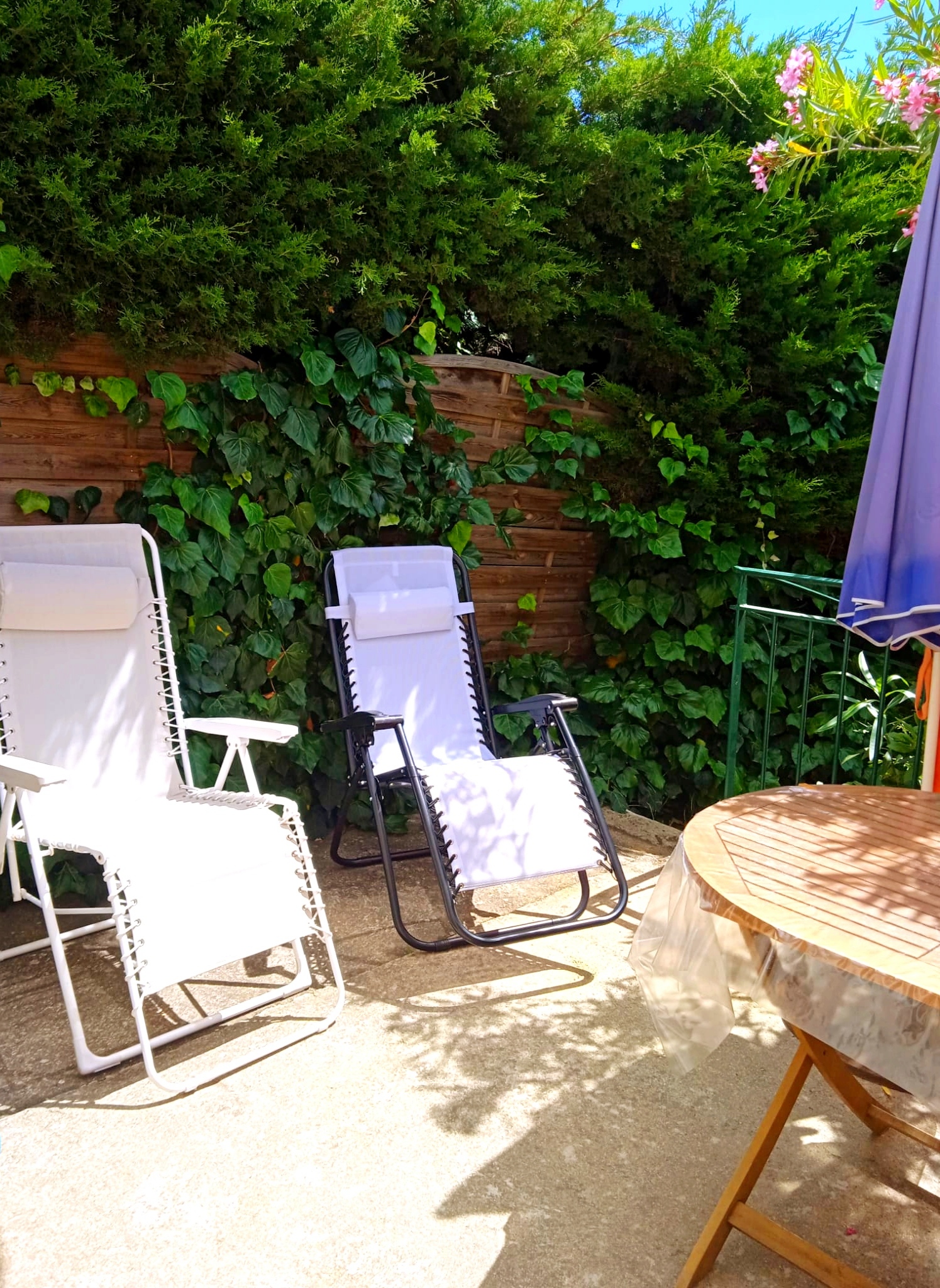 LOCATION BALARUC LES BAINS 550 AVENUE DES HESPERIDES F1P  CHAMBOURDON GISELE (5)