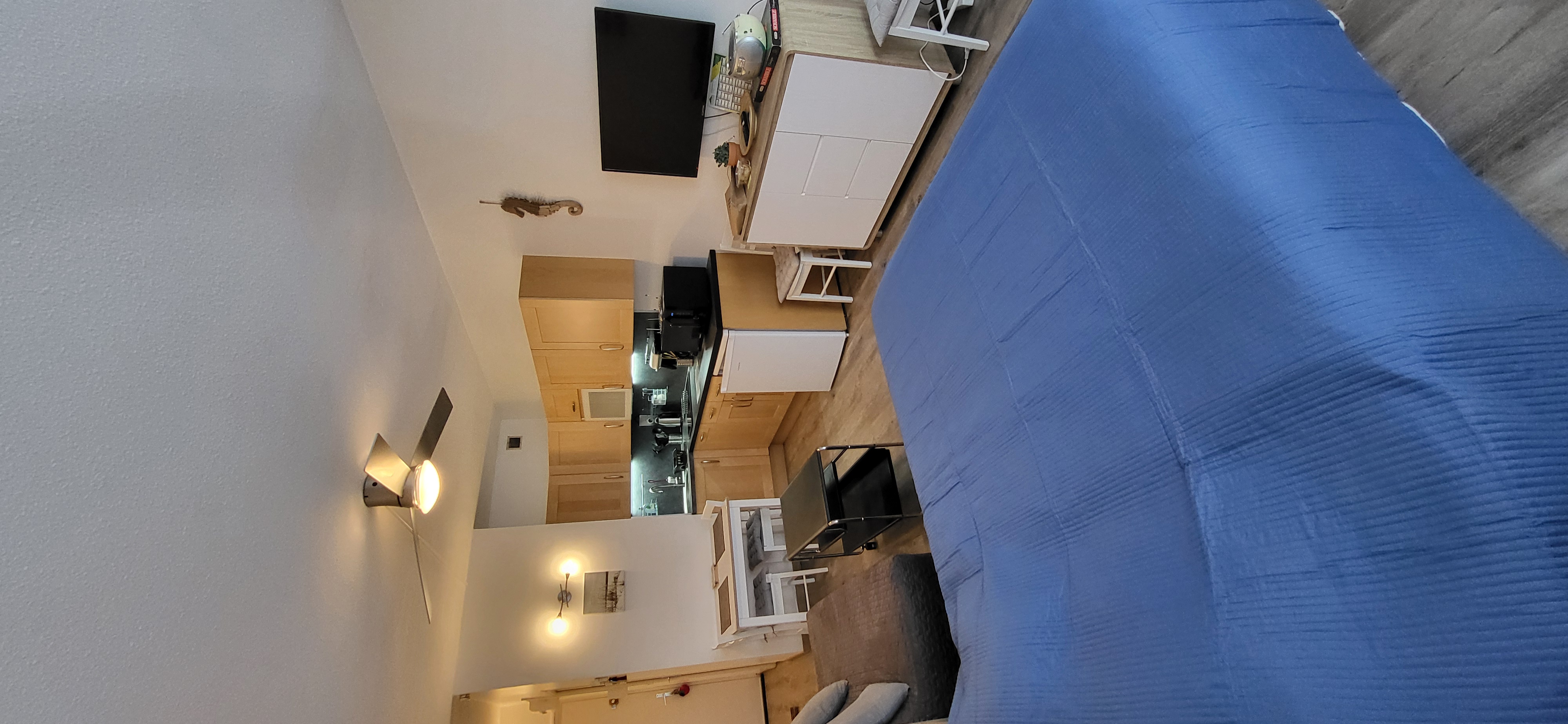 LOCATION BALARUC LES BAINS 66 RESIDENCE DES BAINS MONOD PATRICK(3)