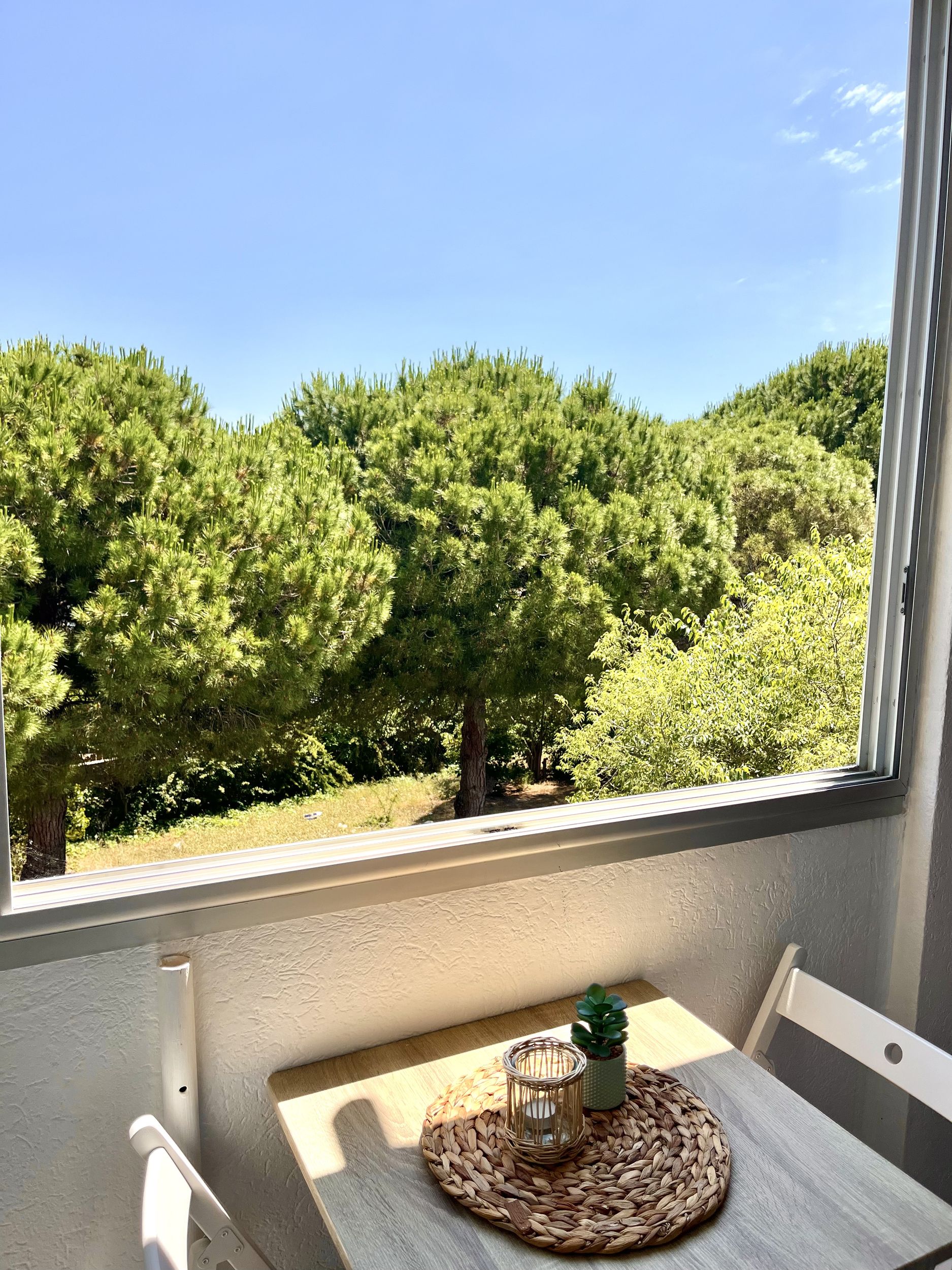LOCATION BALARUC LES BAINS AVENUE DES HESPERIDES LEFEBVRE MATHILDE_5