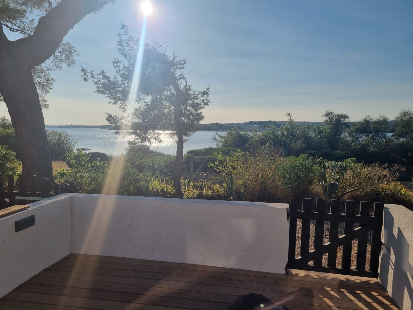 LOCATION BALARUC LES BAINS HAMEAUX DE L'ETANG MAISONNEUVE SYLVAIN (8)