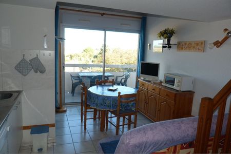 LOCATION BALARUC LES BAINS MME MATHIEU N°33 RESIDENCE LES SOURCES