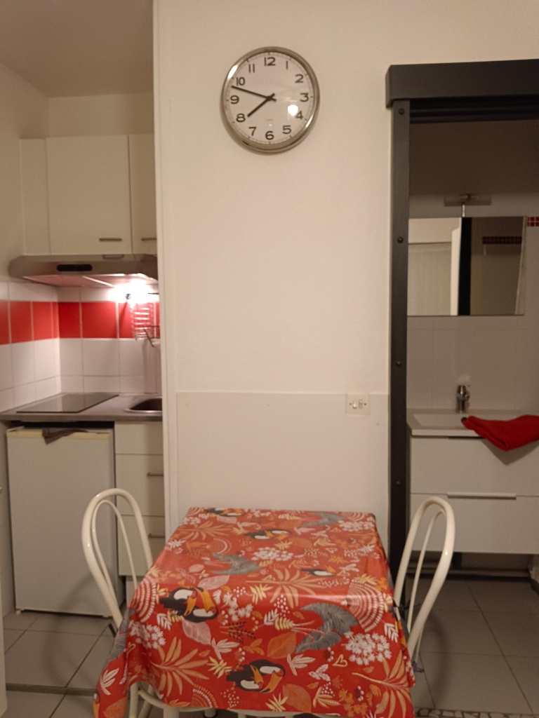 LOCATION BALARUC-LES-BAINS MME MAZZOLINI N°77 RESIDENCE LOU SOUREIL (3)