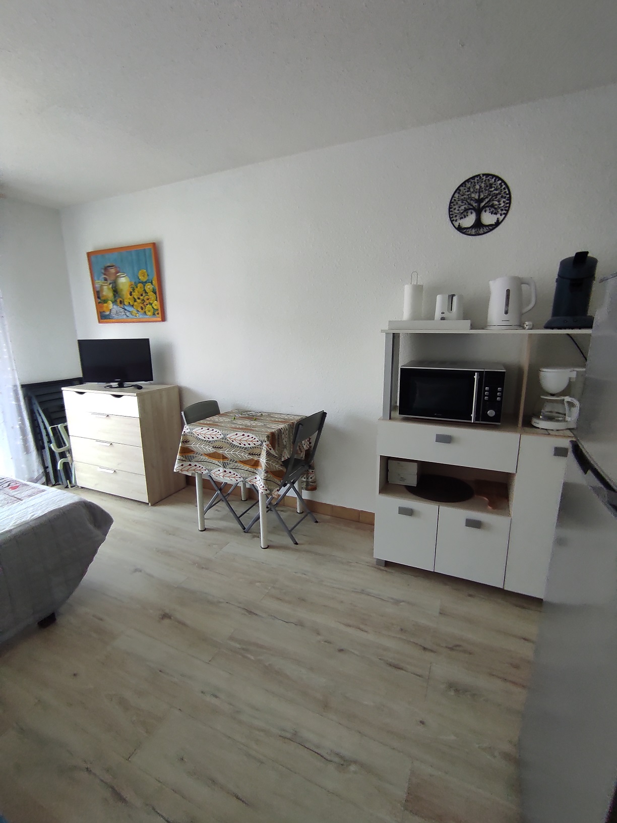 LOCATION BALARUC LES BAINS MME TEULIER N°47 RESIDENCE APPOLOIDE (1)