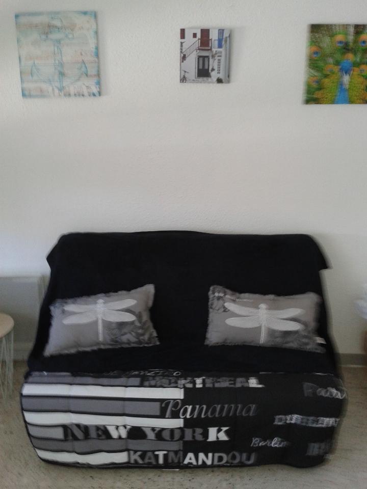 LOCATION BALARUC LES BAINS MR MASSAL N°16 RESIDENCE LE PASTEUR A (1)