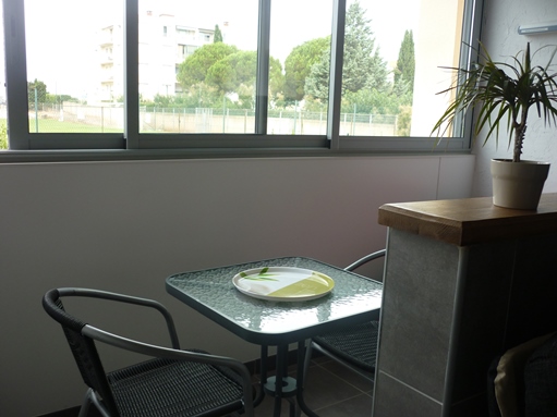 LOCATION BALARUC LES BAINS MR PELLET RESIDENCE LES LISERONS