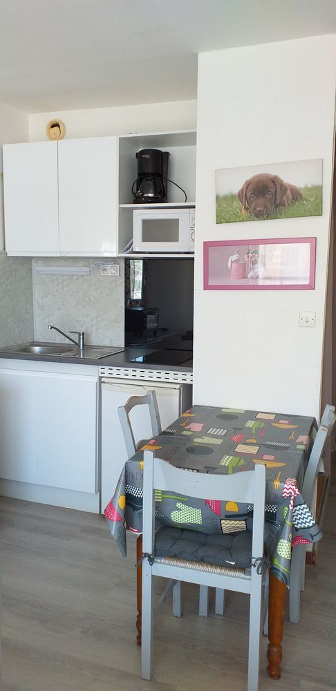 LOCATION-BALARUC-LES-BAINS-N-21-RESIDENCE-SEVIGNE-5-VIALETTES-VIVIANE-03