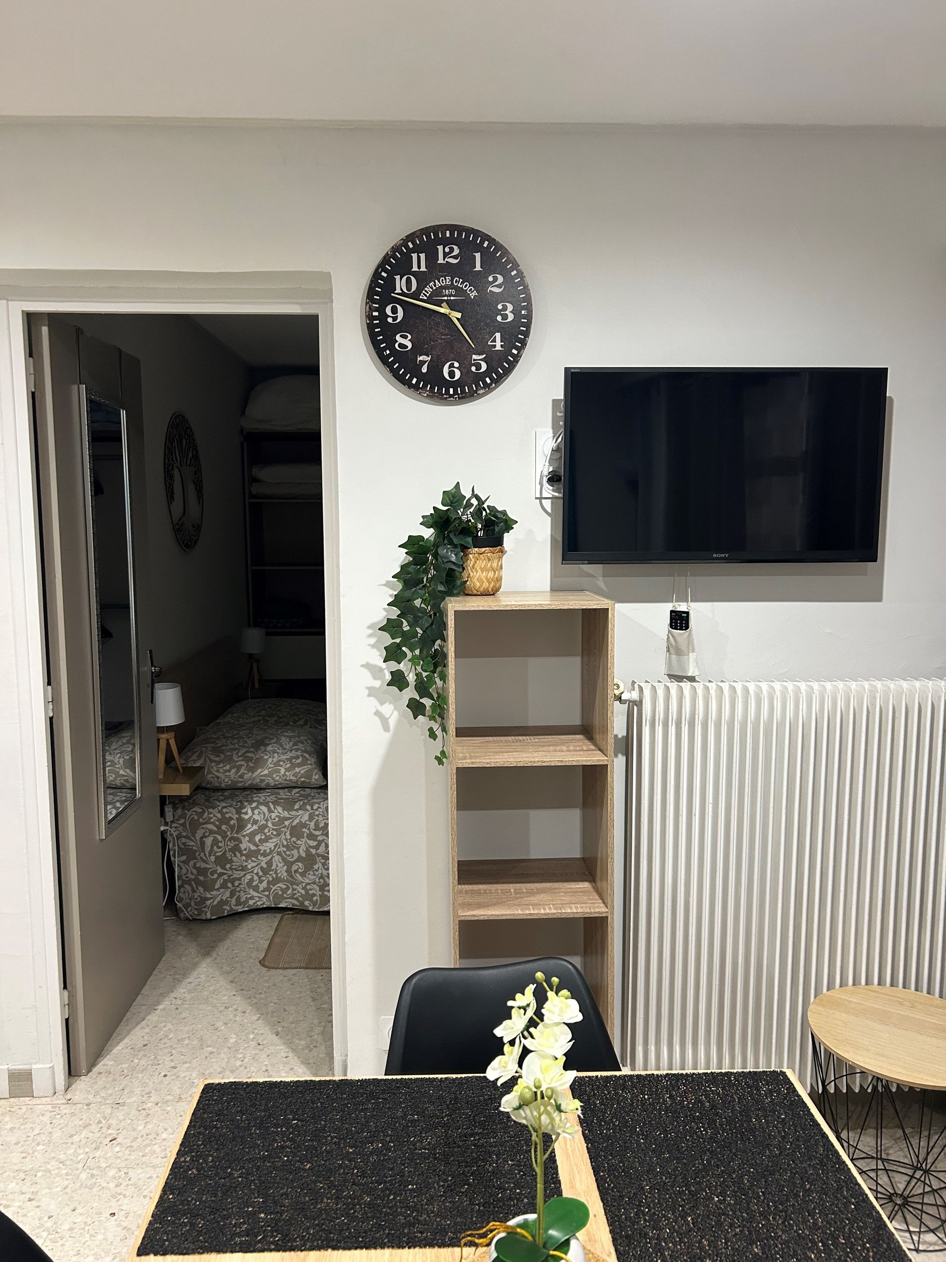 LOCATION BALARUC LES BAINS PANORAMIQUE 31 ORGEAS LIONEL (1)