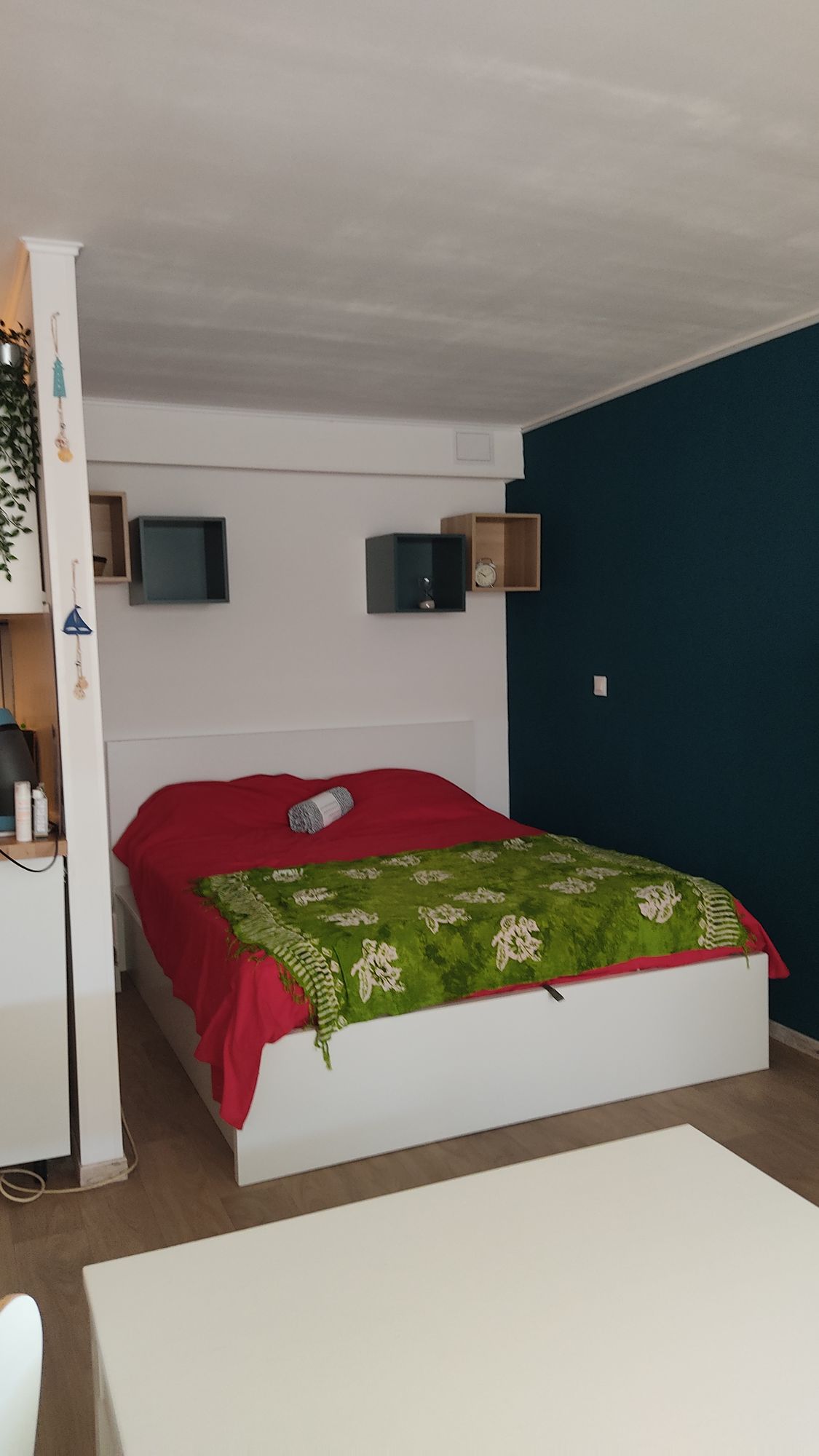 LOCATION BALARUC LES BAINS RESIDENCE ALBATROS 12 PONCET ELSA_02