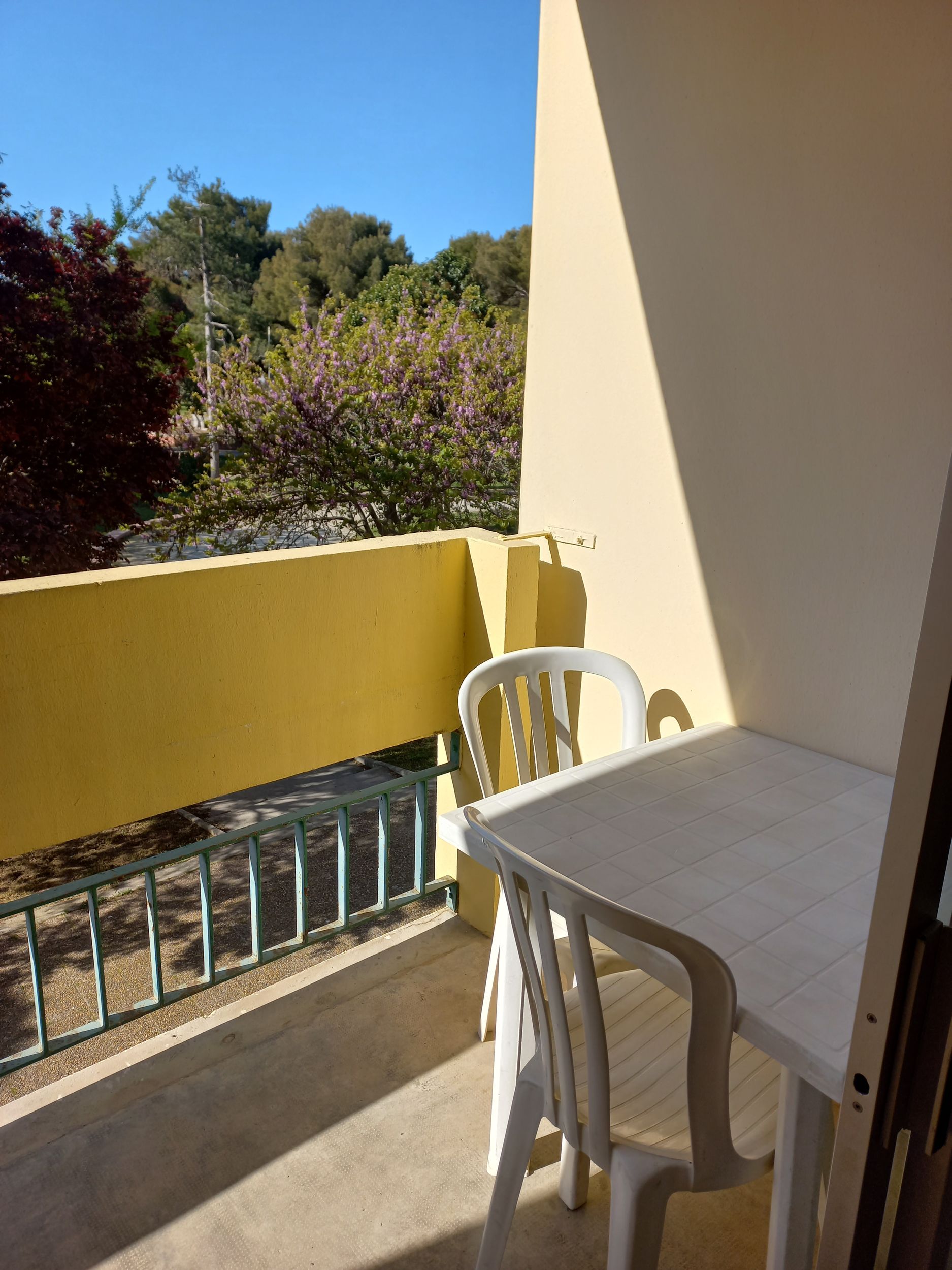 LOCATION BALARUC LES BAINS RESIDENCE AMPHITRITE PFEIFER NATHALIE (1)_resultat