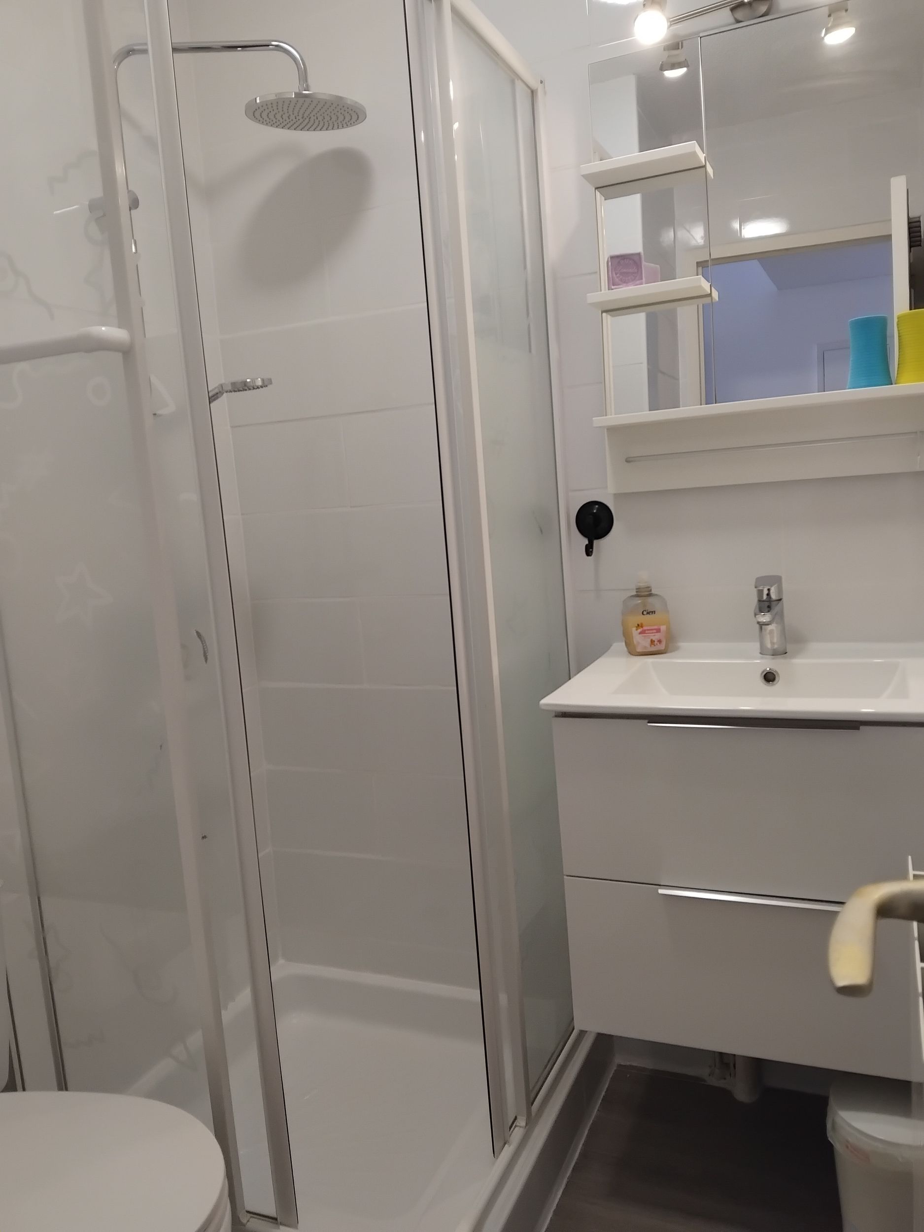 LOCATION BALARUC LES BAINS RESIDENCE APPOLOIDE TESTON FRANCOIS (5)