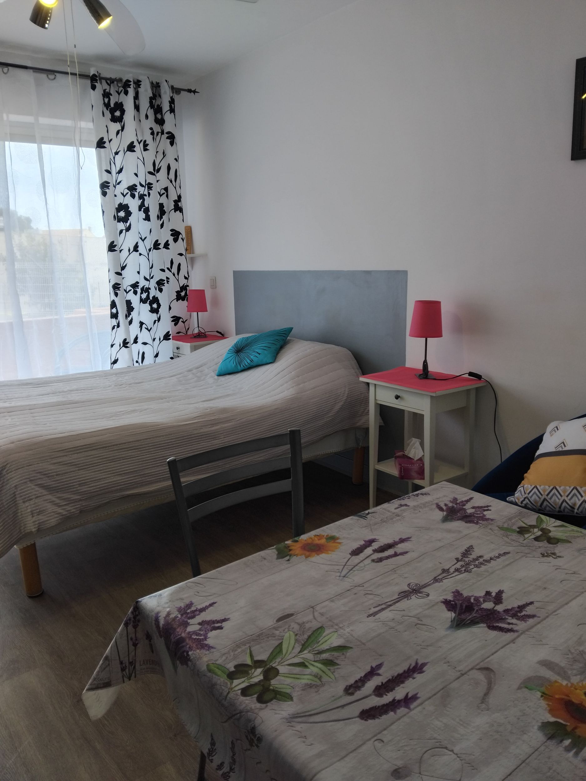 LOCATION BALARUC LES BAINS RESIDENCE APPOLOIDE TESTON FRANCOIS (7)