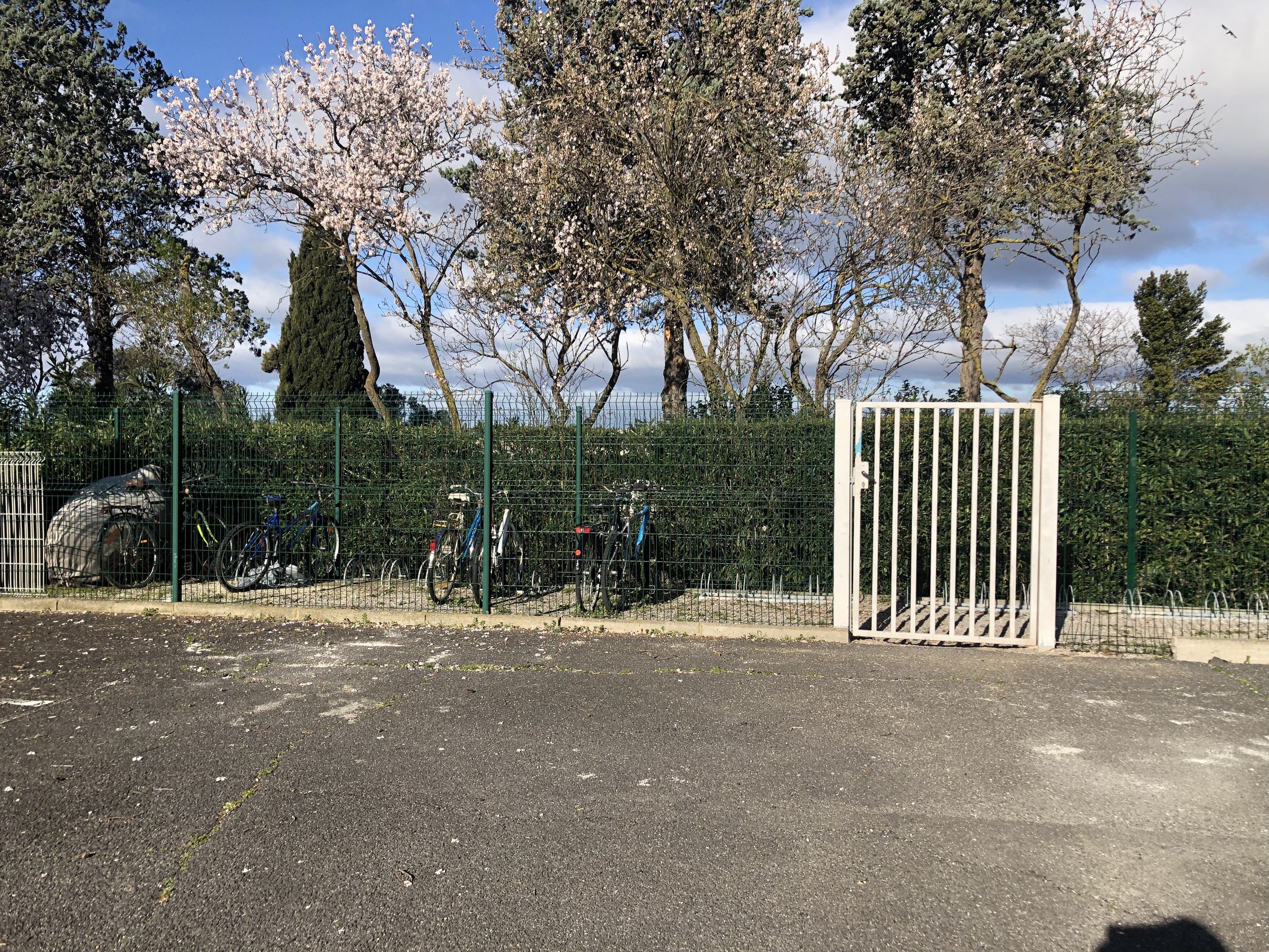 LOCATION BALARUC LES BAINS RESIDENCE AQUALIOS NAVARRE FREDERIC (5)