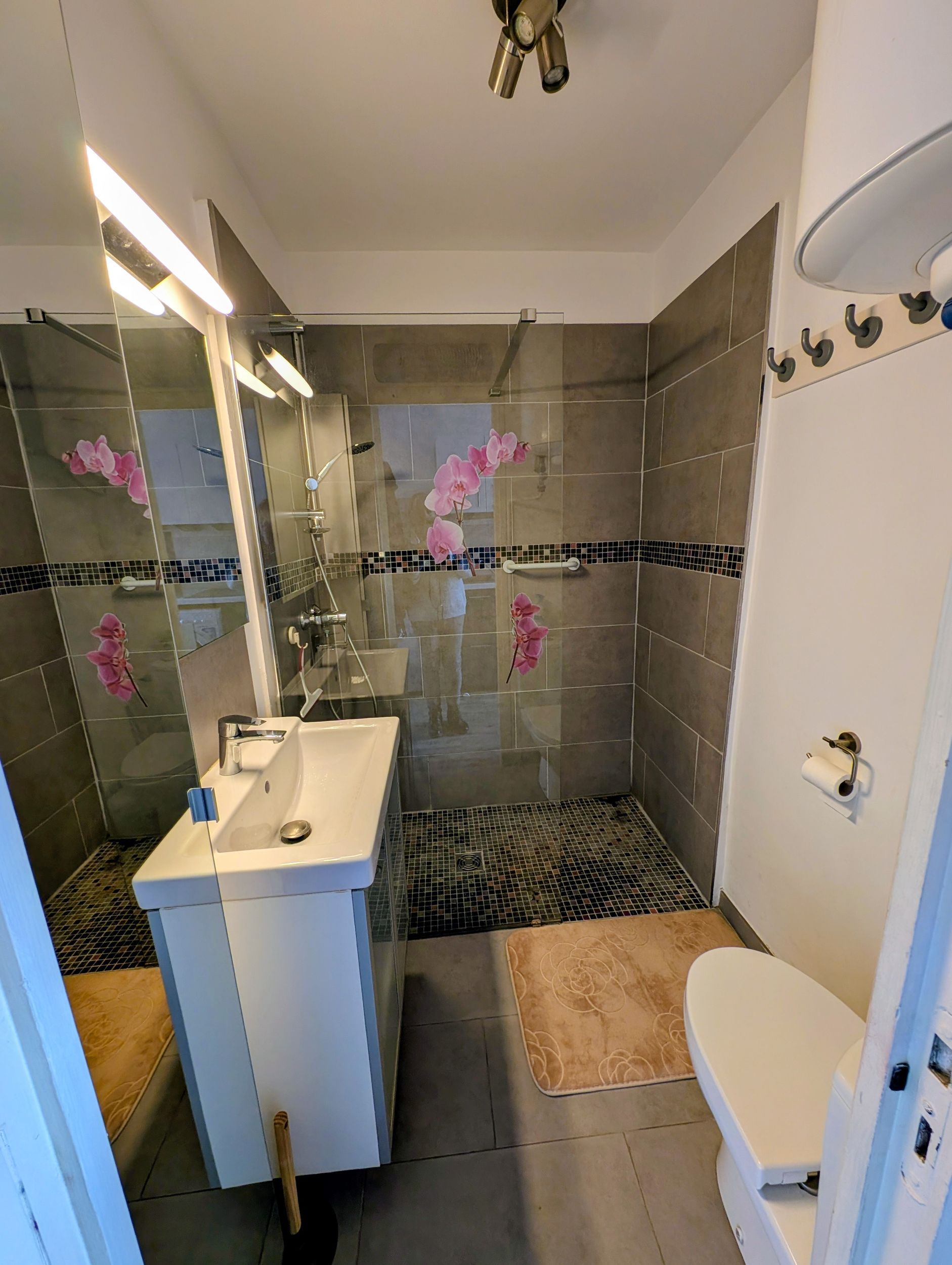 LOCATION BALARUC LES BAINS RESIDENCE CLAIR SOLEIL RABIN JACQUES (7)
