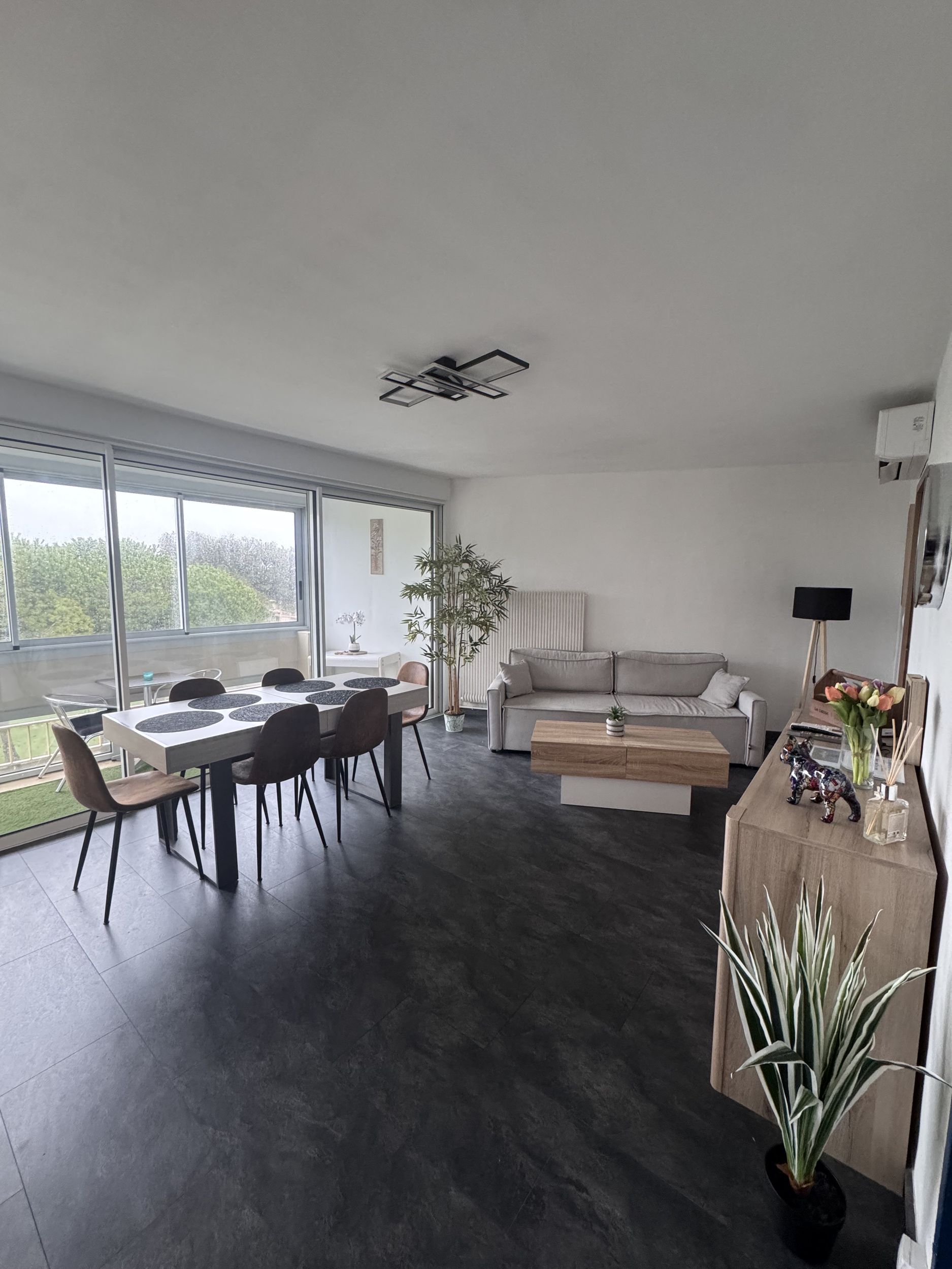 LOCATION BALARUC LES BAINS RESIDENCE DU PARC FERRY AUDREY  (8)