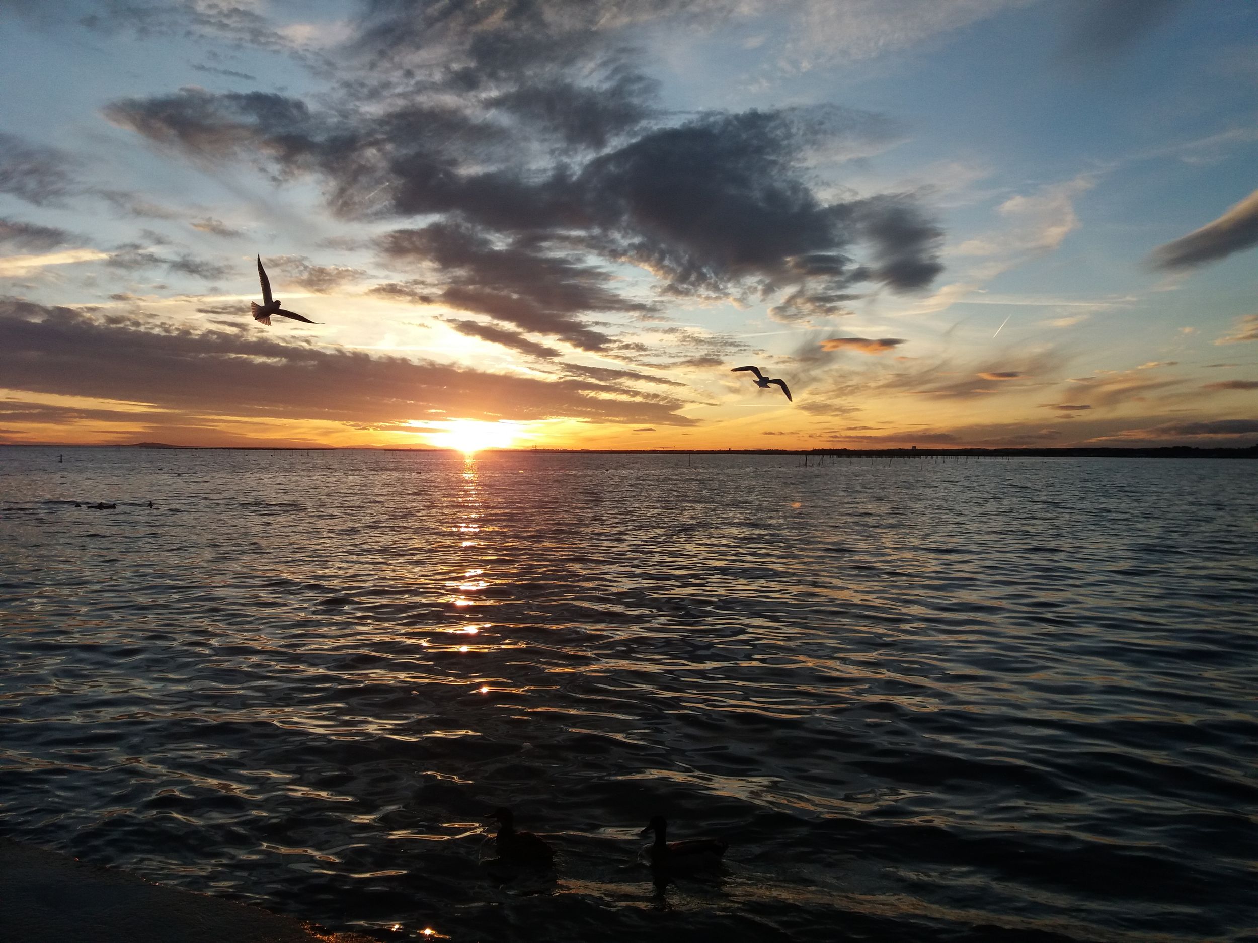 LOCATION BALARUC LES BAINS RESIDENCE FLAMANTS ROSES 13 MEYNAND RENEE