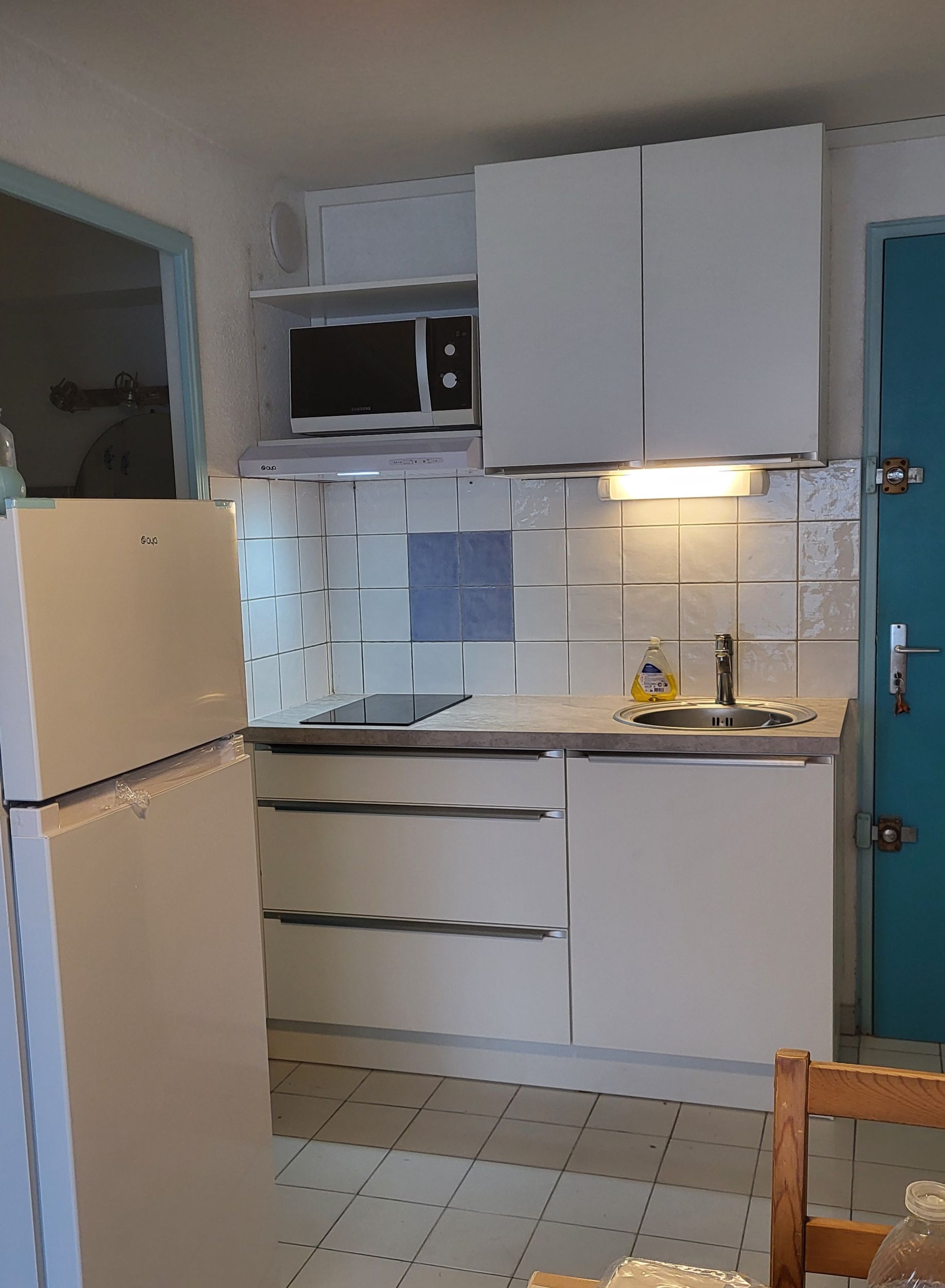 LOCATION BALARUC LES BAINS RESIDENCE FLAMANTS ROSES 37 MONTEIL SABINE (4)