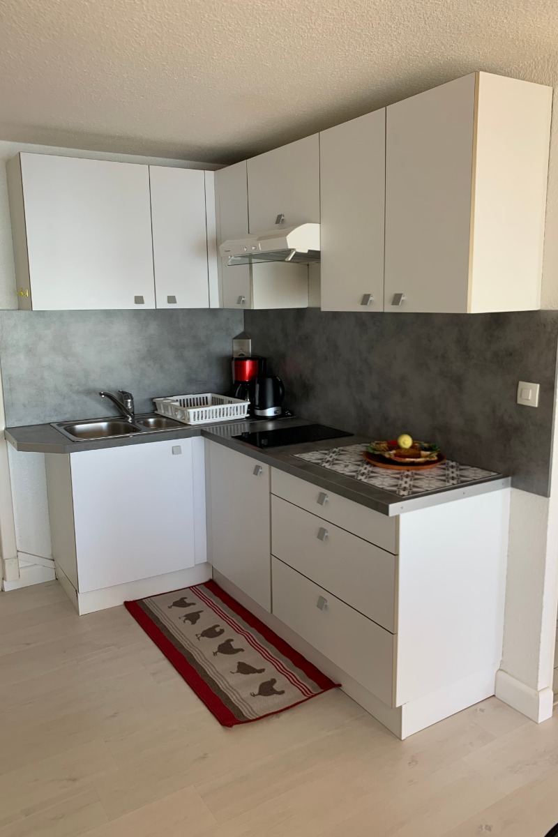 LOCATION BALARUC LES BAINS RESIDENCE FLAMANTS ROSES ROUBIOU MADELEINE (1)