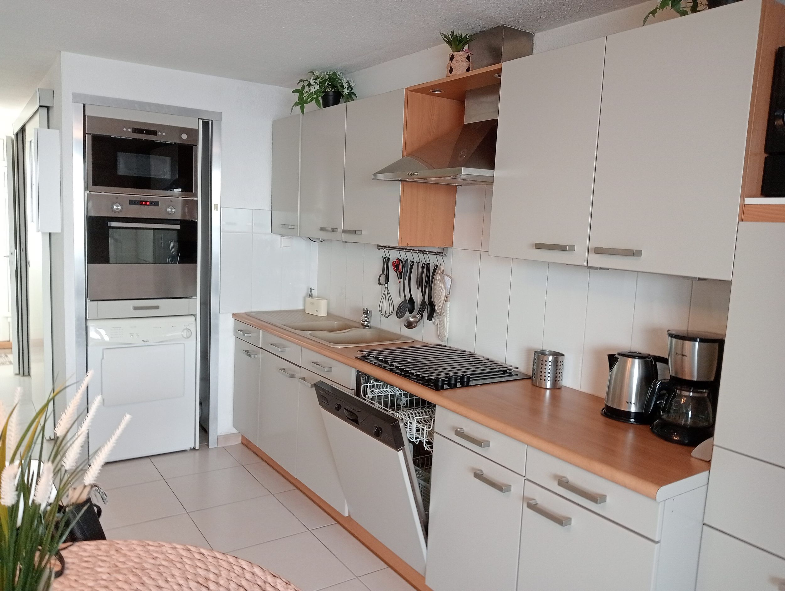 LOCATION BALARUC LES BAINS RESIDENCE FLAMANTS ROSES VATAIRE DENIS (8)
