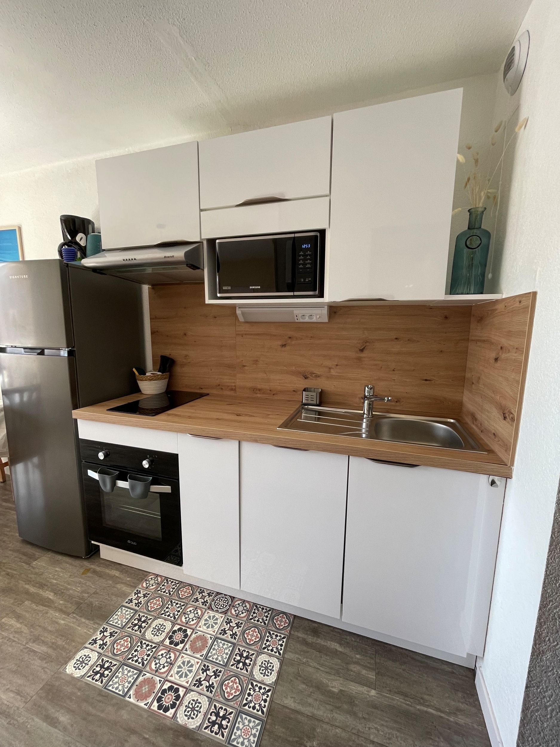 LOCATION BALARUC LES BAINS RESIDENCE LES HAUTS DE BALARUC PAGES BELTRAN NICOLAS (1)