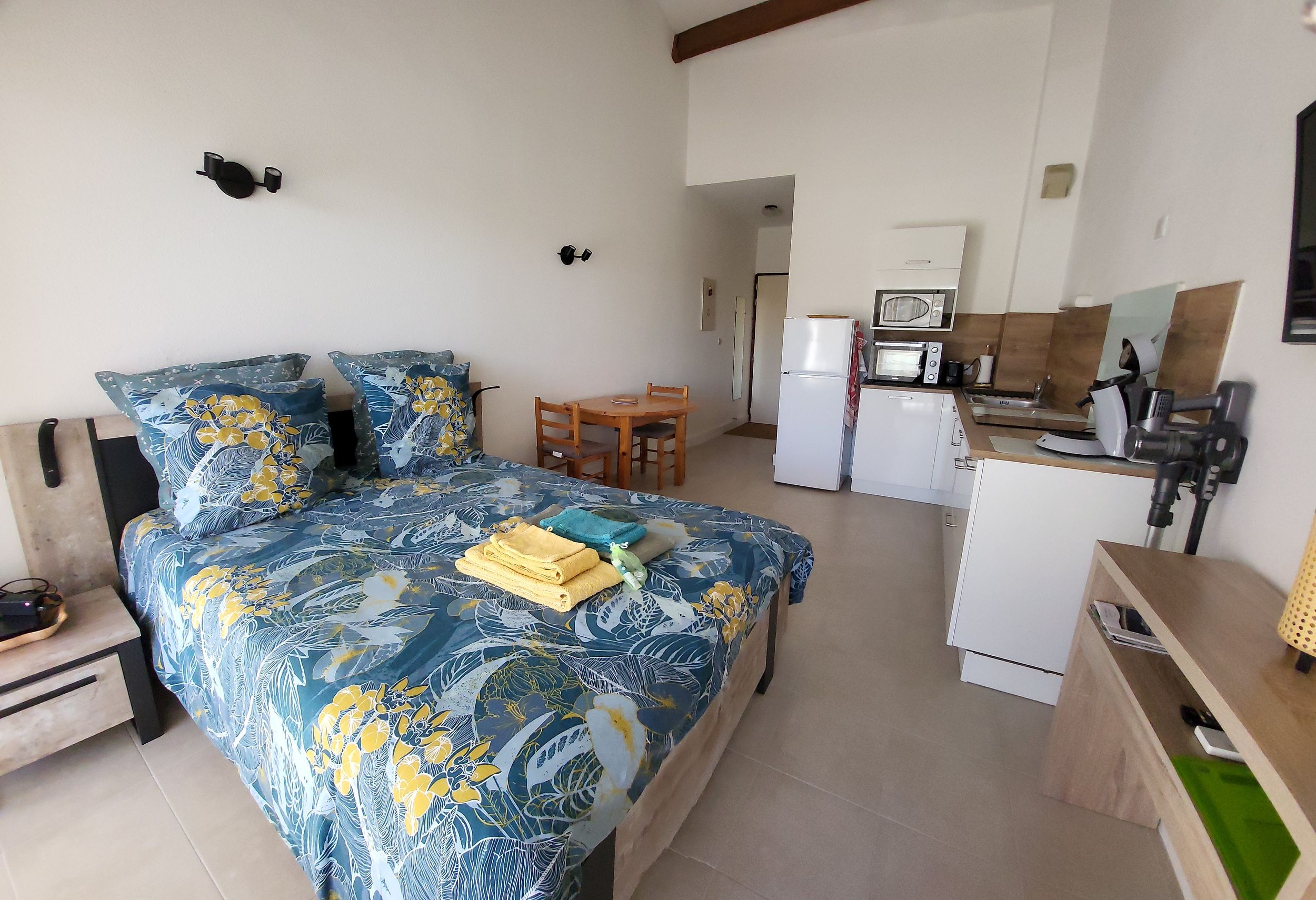 LOCATION BALARUC LES BAINS RESIDENCE NAIADES 2 BLAIN SIERRA SANDRINE 6_resultat