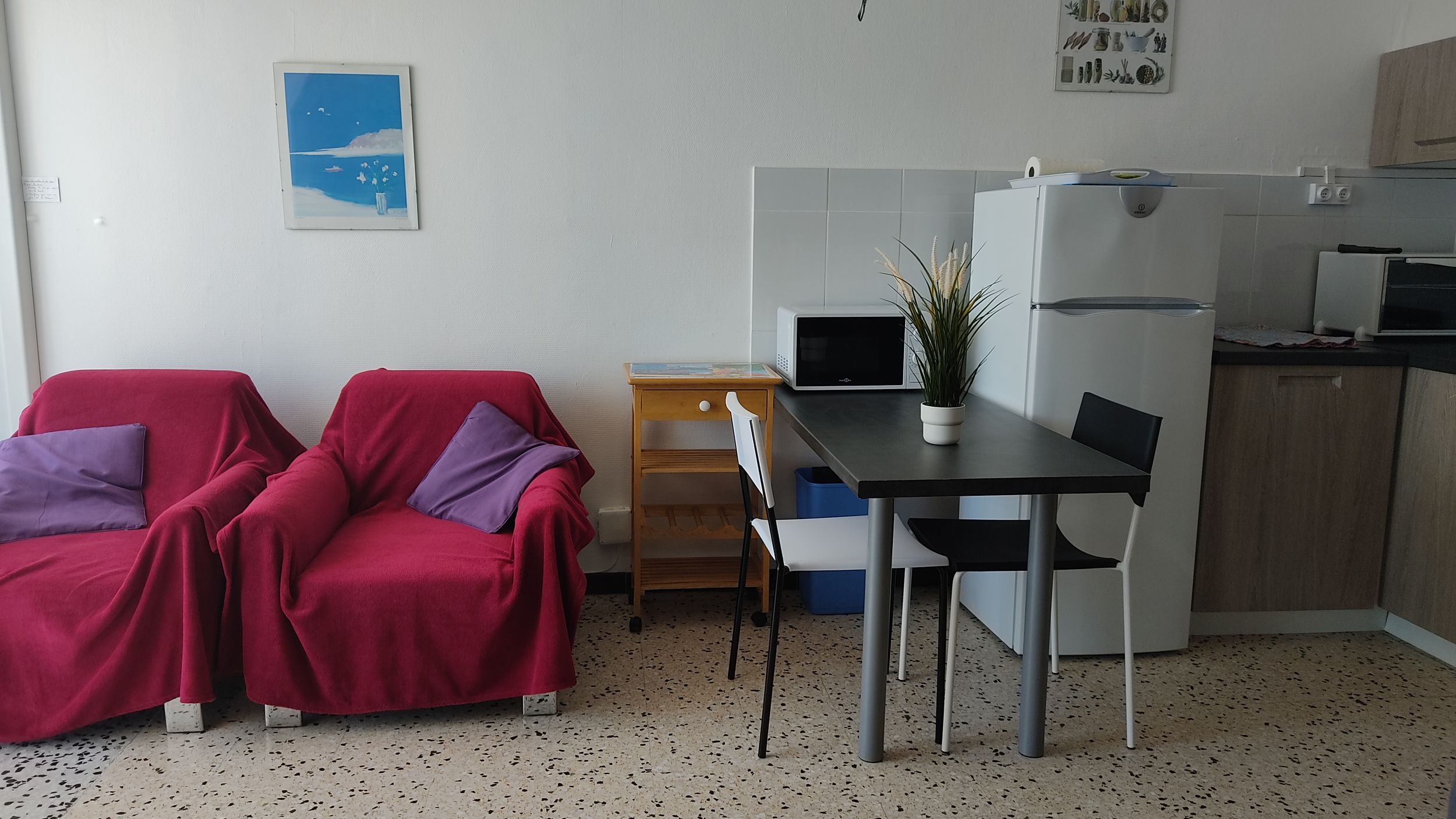 LOCATION BALARUC LES BAINS RESIDENCE NAUTIC A VISTICOT YANNICK (2)_resultat