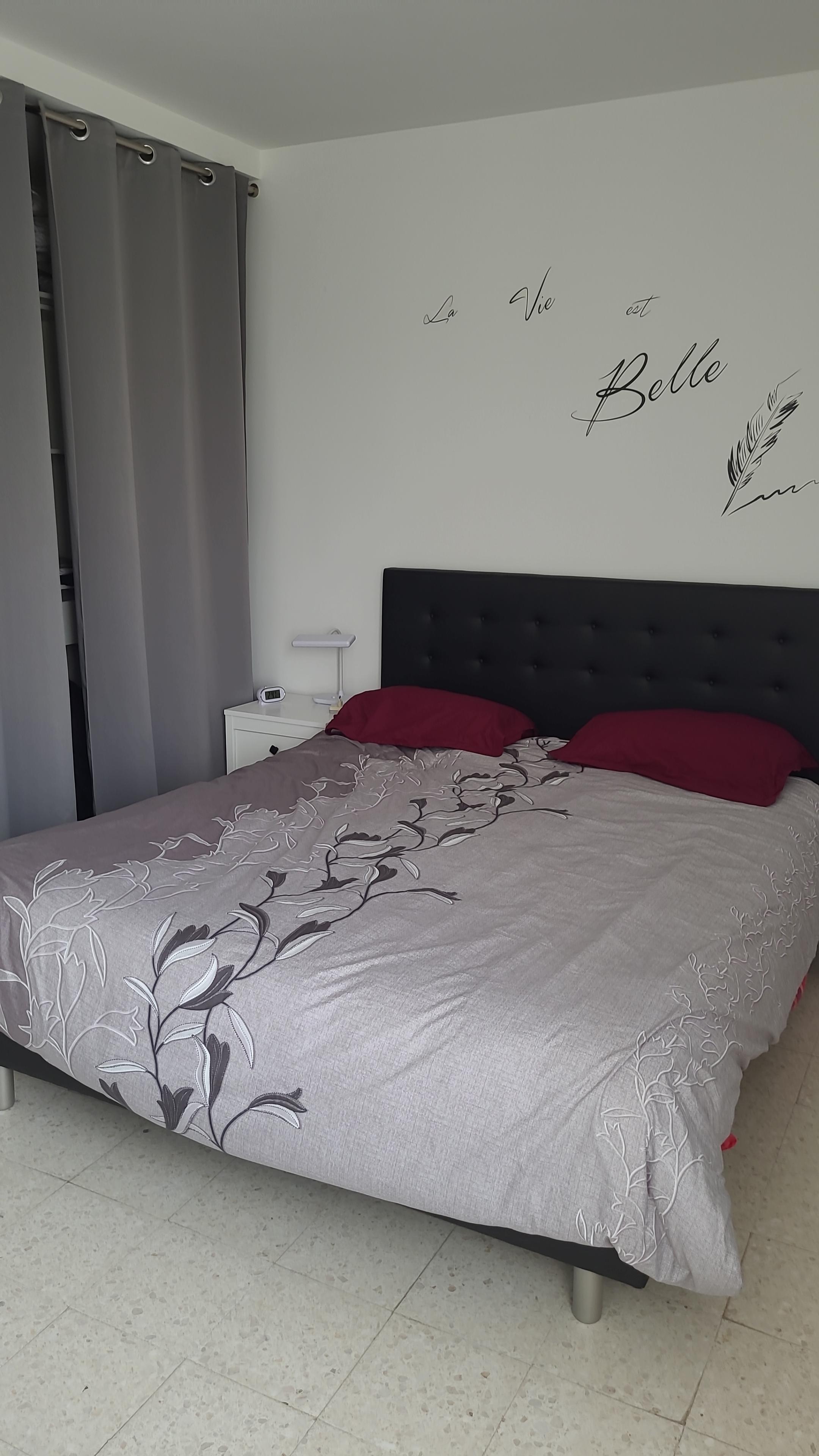 LOCATION BALARUC LES BAINS RESIDENCE THERMES 2 VANNEL (3)